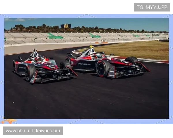 电动汽车赛事推广：FE与中国市场可持续发展目标契合