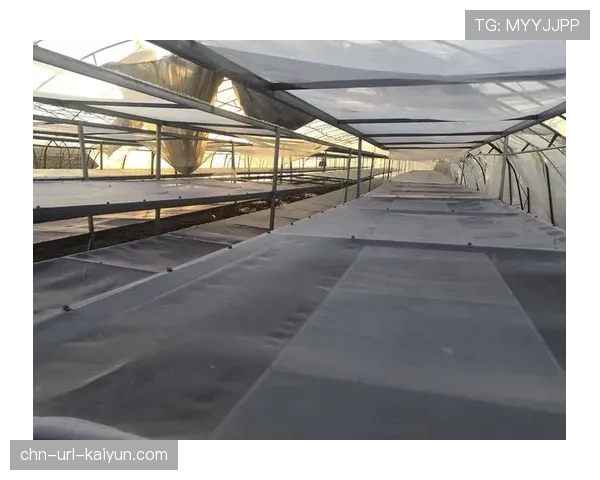 社区的力量：伯恩利俱乐部如何通过基金会项目帮助当地工业转型